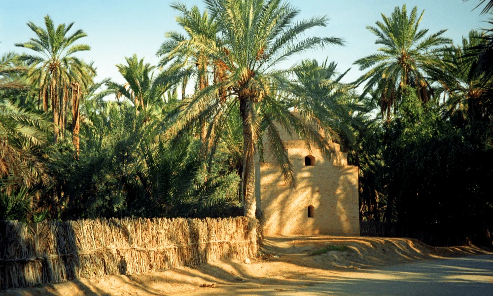 Vacanță în Tunisia, Sahara și Oazele Tunisiene - photo 1