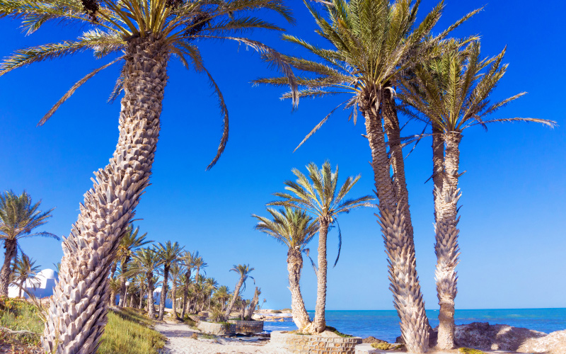 Djerba image-2