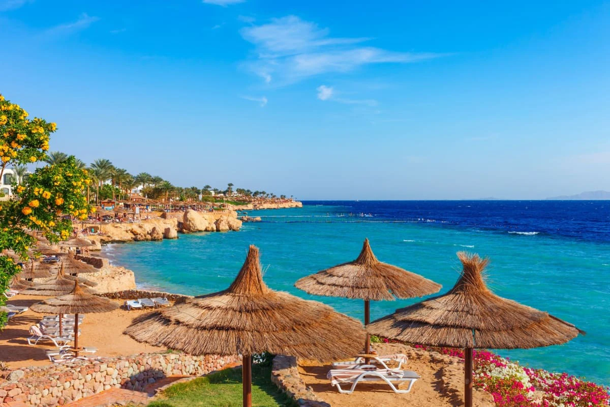 Plaja insorita de resort cu palmieri si umbrele, pe tarmul Marii Rosii, in Sharm El Sheikh, Sinai, Egipt