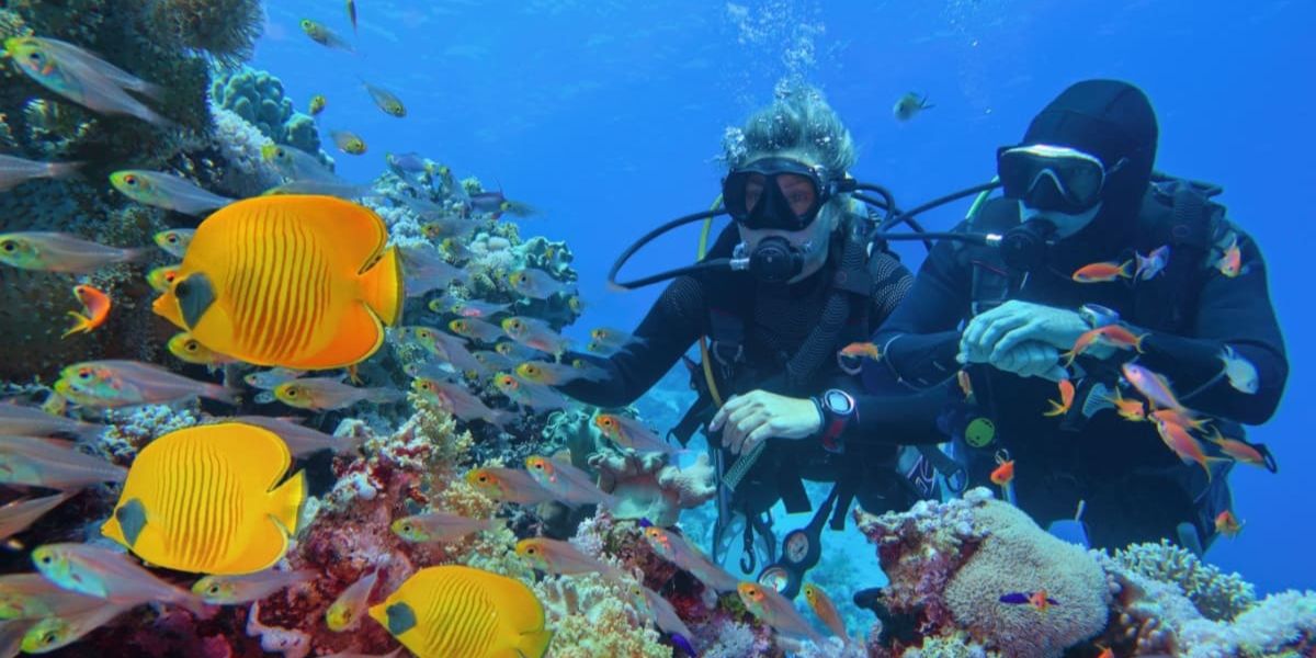 Top 7 activități acvatice de neratat în Hurghada și Sharm El Sheikh