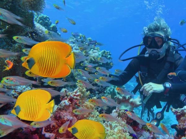 Top 7 activități acvatice de neratat în Hurghada și Sharm El Sheikh