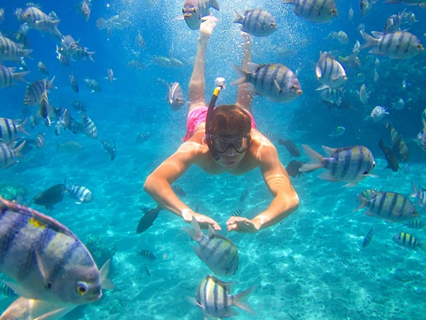 Unde faci snorkeling și scufundări în Egipt: cele mai impresionante locuri de explorat